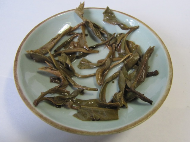 bada man mai old tree puer cake leaves after steeping